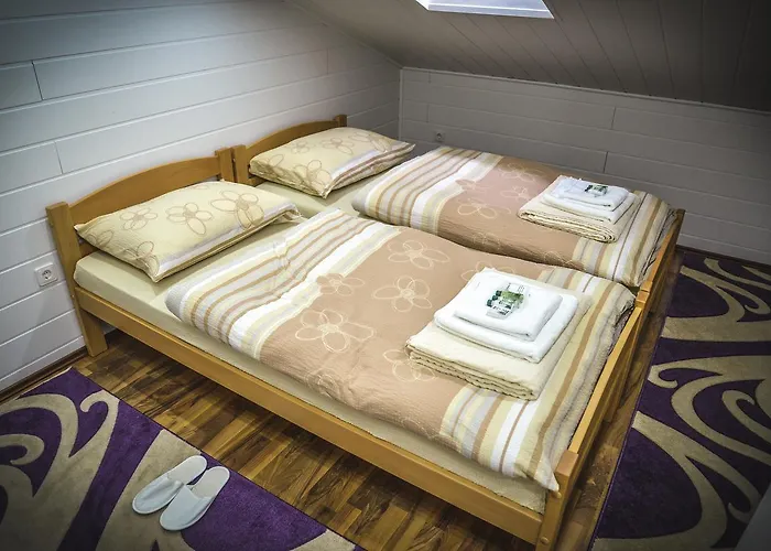 Guest house Etno Selo Bk Oaza Todorani