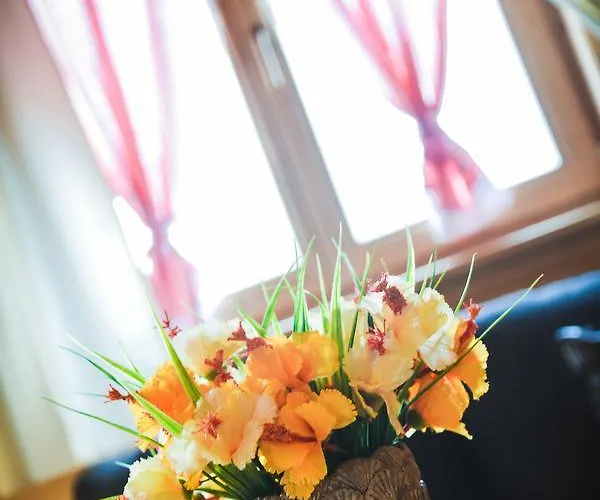 Guest house Etno Selo Bk Oaza